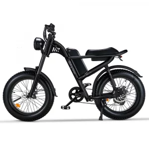 Vélo électrique – Fat Bike Z8