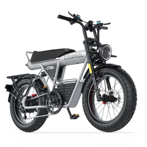 Vélo électrique – Fat bike COSWHEEL CT20 – Moteur 1500W