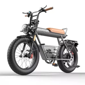 Vélo électrique – Fat bike COSWHEEL CT20 – Moteur 1000W