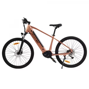 Vélo électrique – Gogobest GM26