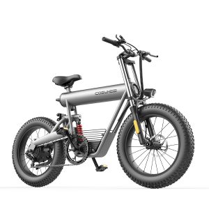 Vélo électrique – Fat bike COSWHEEL T20