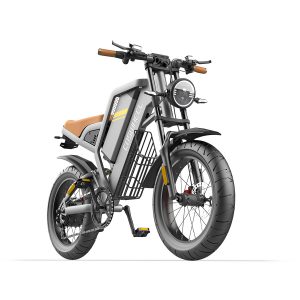 Fatbike électrique – COSWHEEL GT20 750W