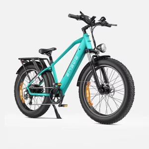 Vélo électrique – Engwe E26 750W