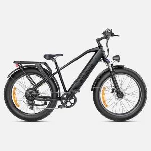 Vélo électrique – Engwe E26 750W