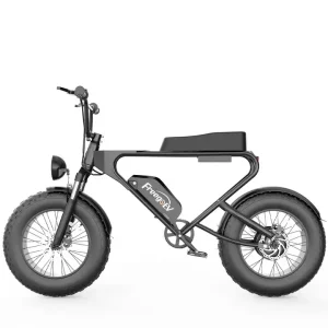 Fat bike électrique Freego DK200 – Pneu Tout terrain