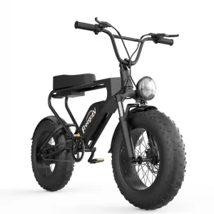 Fat bike électrique Freego DK200 – Pneu Tout terrain