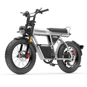 Fatbike électrique COSWHEEL CT20S – Moteur 1500W