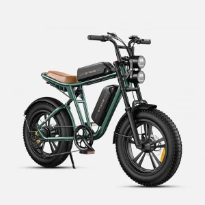 Vélo électrique Fat bike – ENGWE M20 – Double Batterie Lithium 48V 13Ah