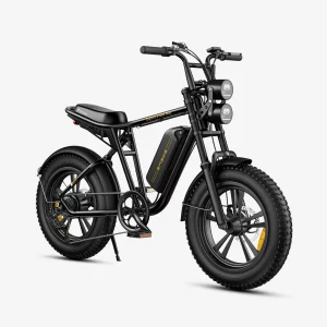 Vélo électrique Fat bike – ENGWE M20 – Batterie Lithium 48V 13Ah