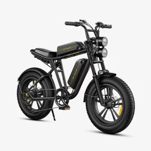Vélo électrique Fat bike – ENGWE M20 – Double Batterie Lithium 48V 13Ah
