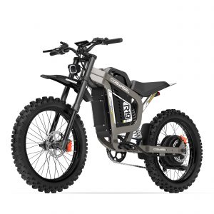 Vélo électrique – Vélo électrique tout terrain Coswheel R19 9000W