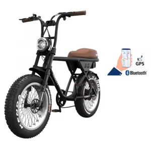 Fatbike Électrique – Biplace Cargo Garrett Miller Z
