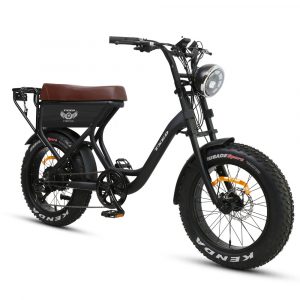 Fatbike électrique – Texed S8 250W 48V 15,6Ah
