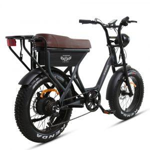 Fatbike électrique – Texed S8 250W 48V 15,6Ah