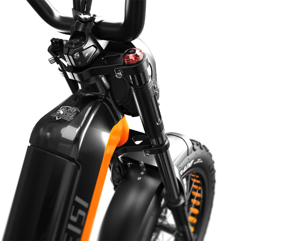 Fatbike électrique Lankeleisi RX800 Plus - 1000W 48V 20Ah – Image 20