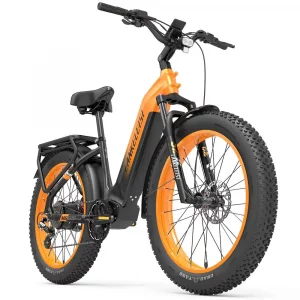 Fat bike électrique – Lankeleisi MG600 Plus 2025 – 250W 48V 20Ah